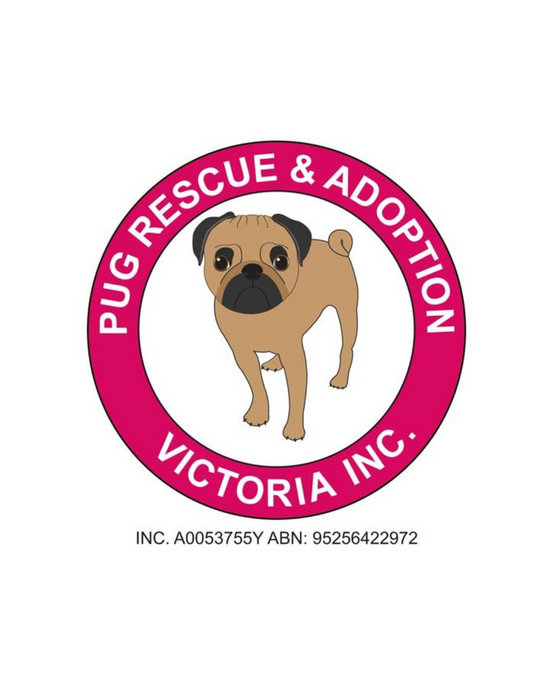 Logo of “Pug Rescue & Adoption Victoria Inc.” featuring a cartoon illustration of a fawn-colored pug with a black face, standing in the center of a pink circular border. The organization name is written in white capital letters around the border. Below the circle are the incorporation number (INC. A0053755Y) and Australian Business Number (ABN: 95256422972)
