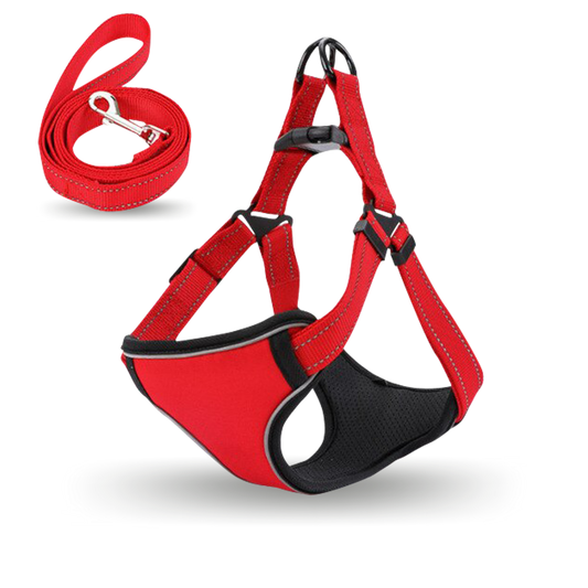Choke Free Pug Harness with Lead