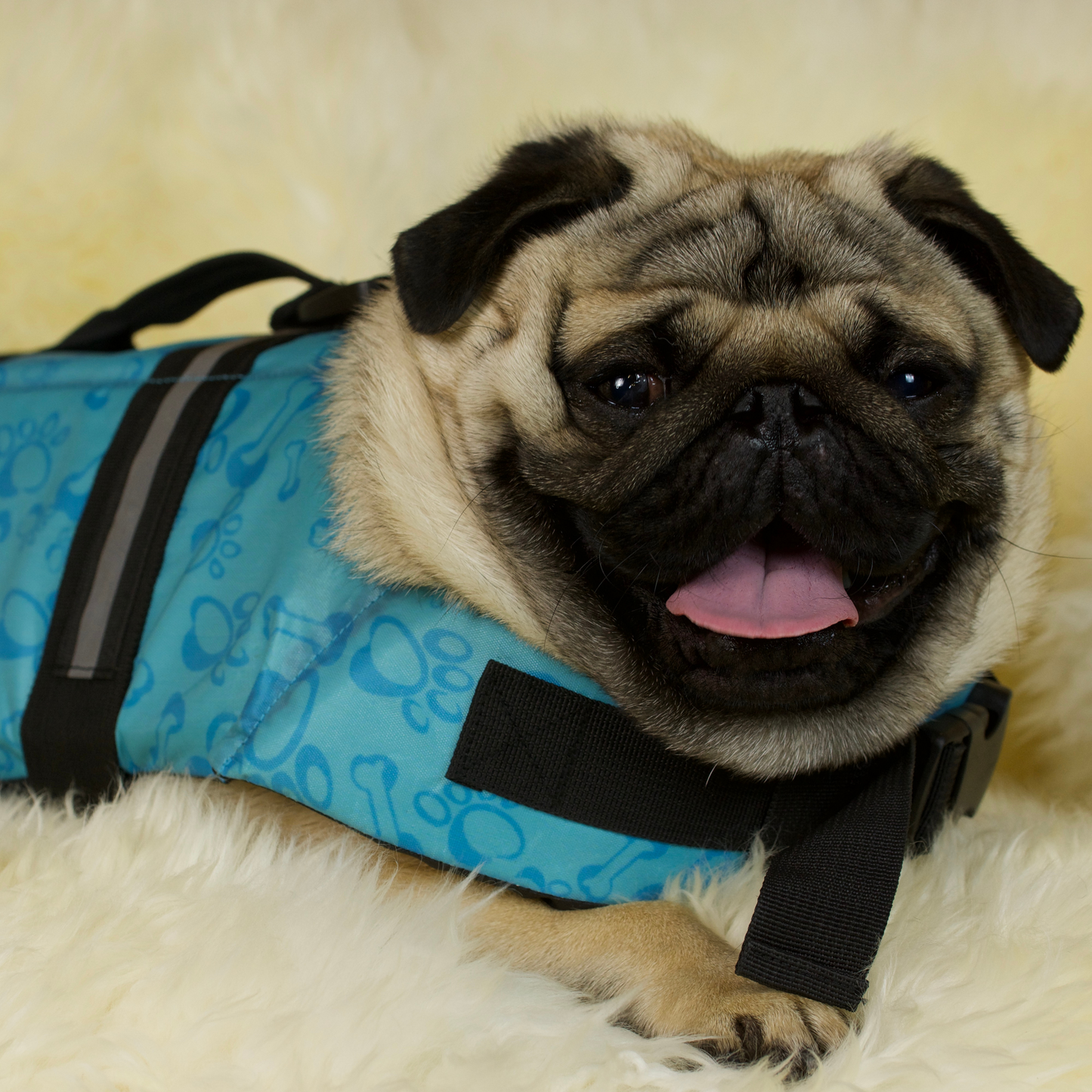 Pug Life Jacket