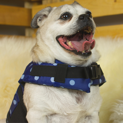 Pug Life Jacket