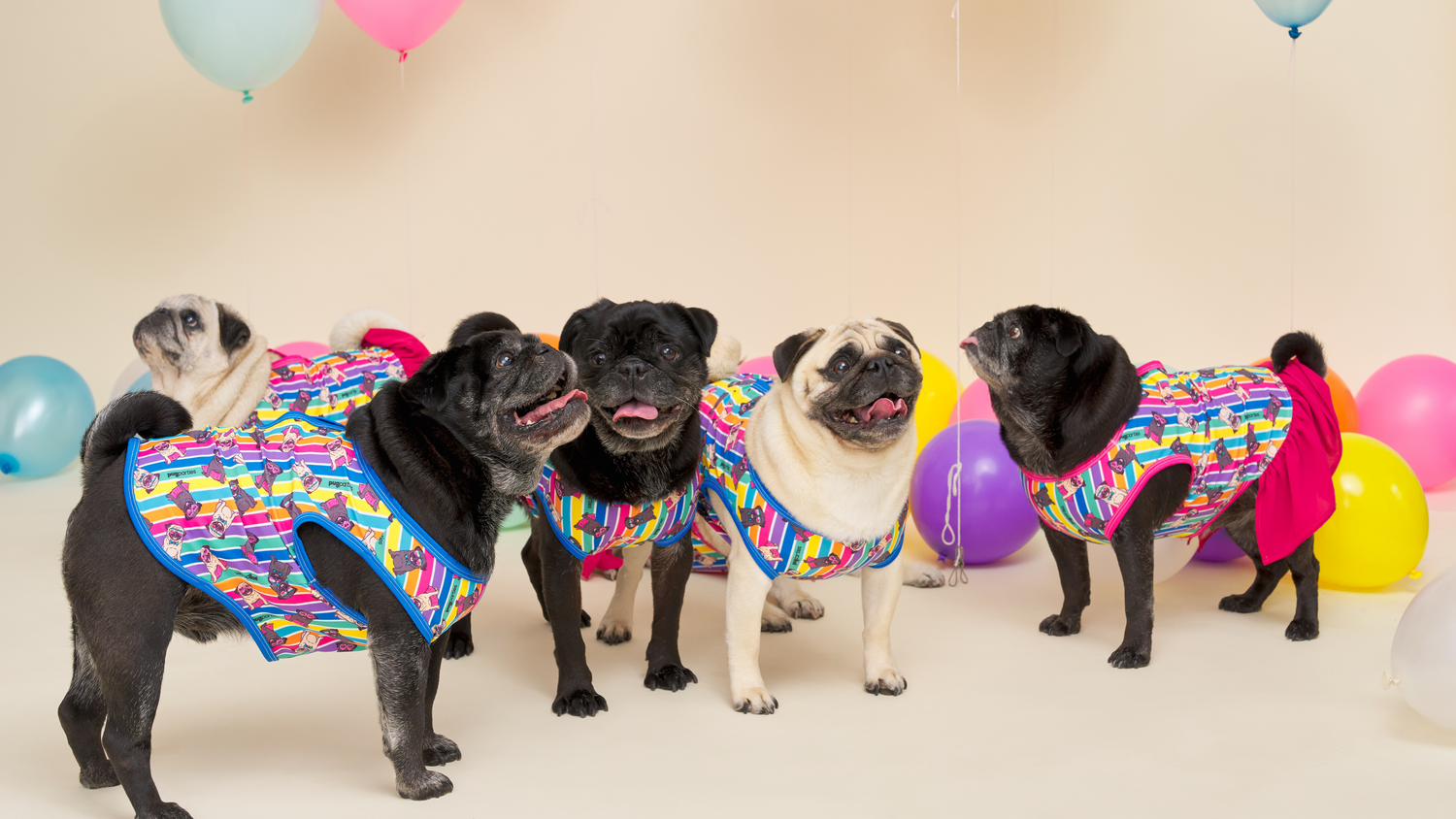 Pug Parties | Pug Lovin' Outfits and Costumes