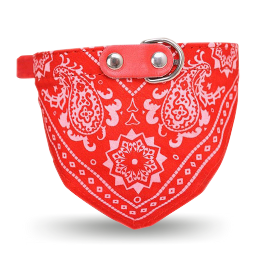 Bandana Pug Collar
