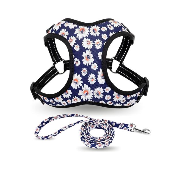 Floral and Geometric Print Pug Harness with Lead