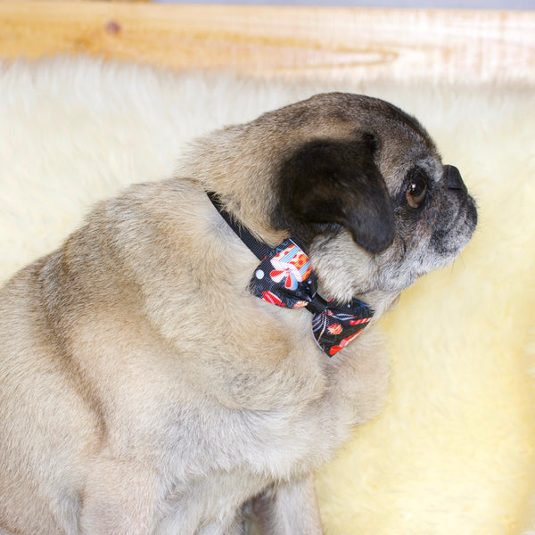 Christmas Pug Bowties and Neckties