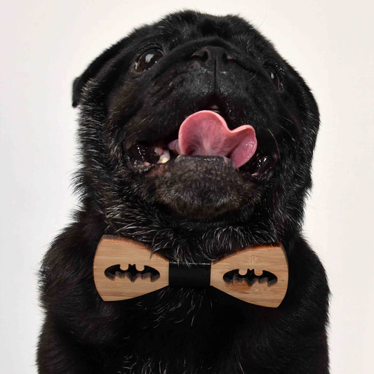 a male black pug wearing a Batman Cut Bamboo Bowtie