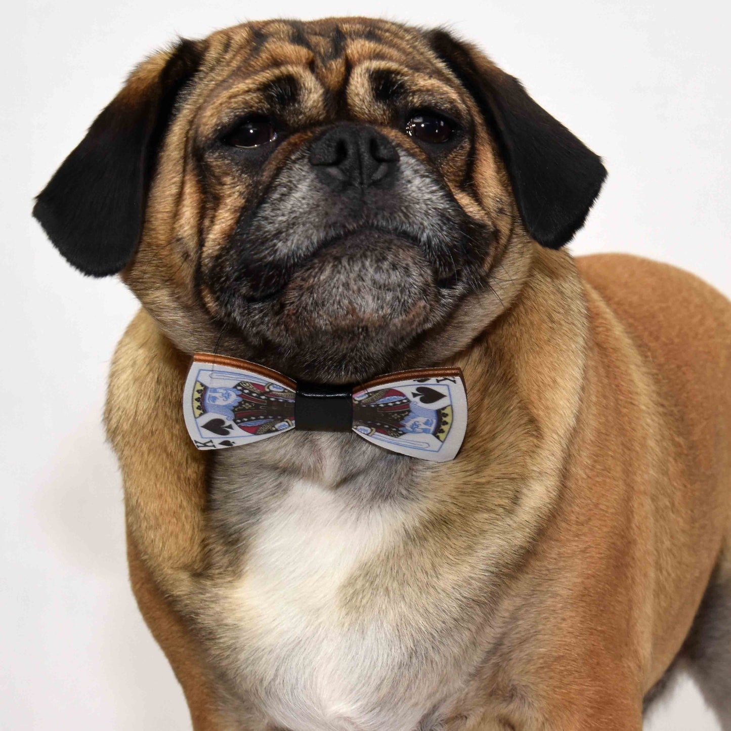 Pop Culture Bamboo Pug Bowtie