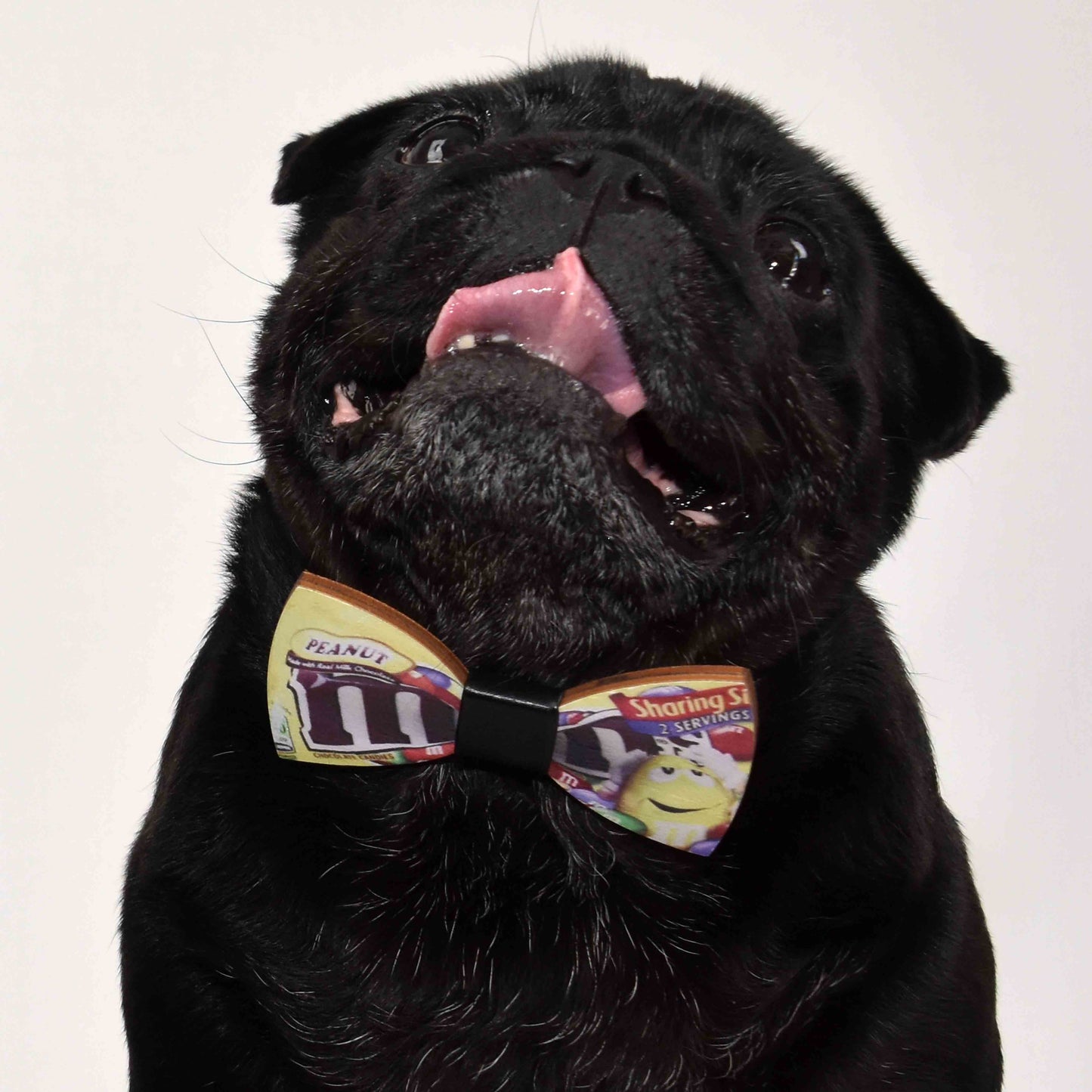 Pop Culture Bamboo Pug Bowtie