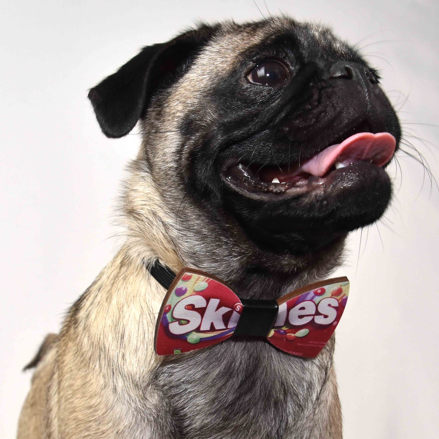 Pop Culture Bamboo Pug Bowtie