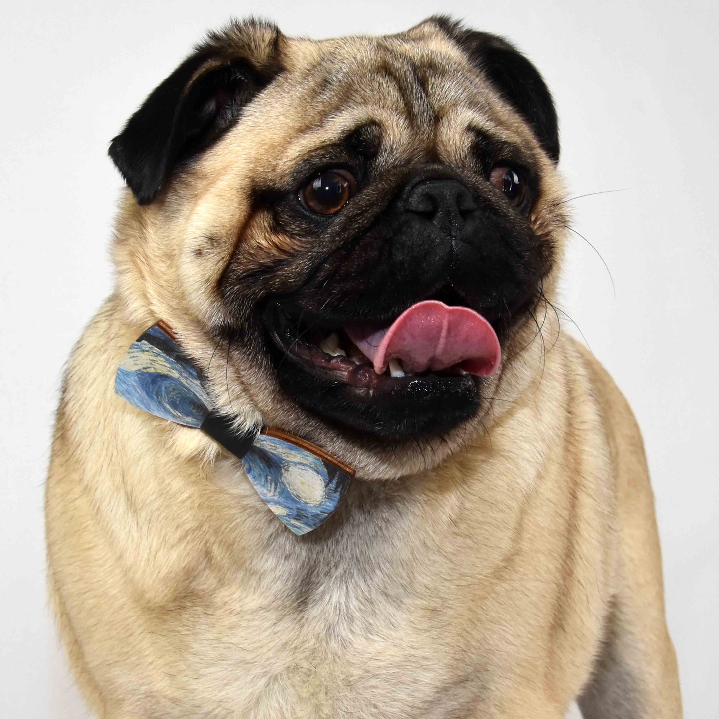 Pop Culture Bamboo Pug Bowtie