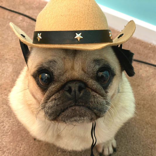 Cowgirl Pug Hat