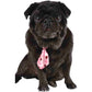 A black pug wearing a pink with red heart print necktie