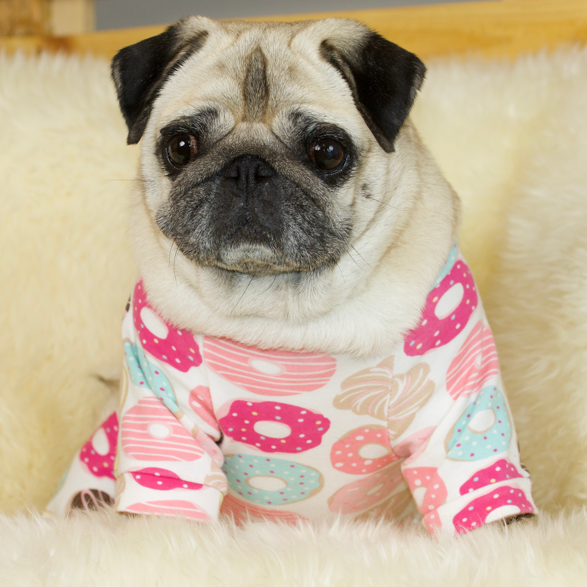 Pug discount print pajamas