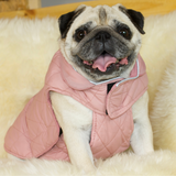 Harness-friendly Reversible Pug Jacket