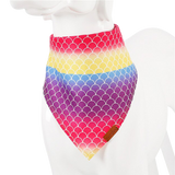 Patterned Pug Scarves
