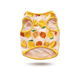 Orange Fruit Pug T-shirt